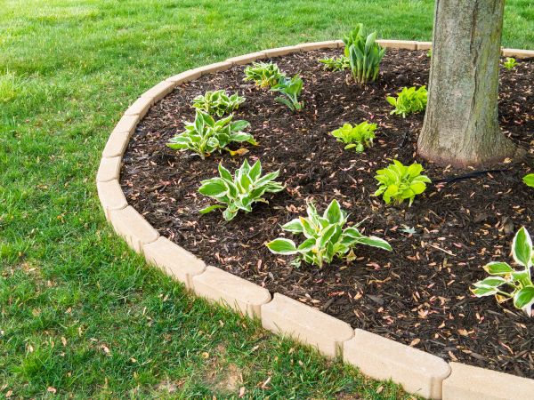Stone Border Installation in Gainesville