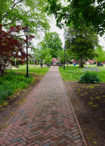 Brick Pathway Repair in Gainesville