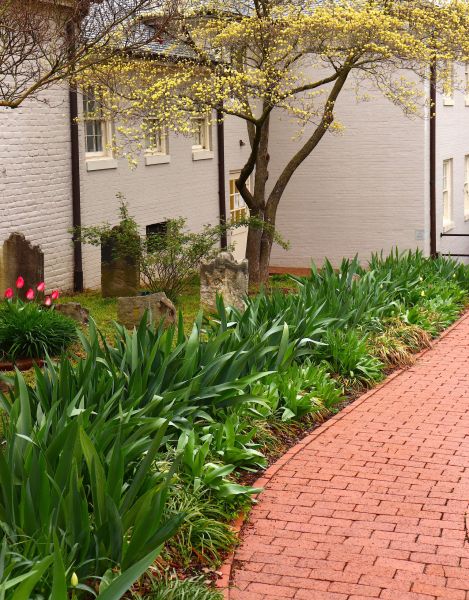 Brick Flatwork Repair in Gainesville